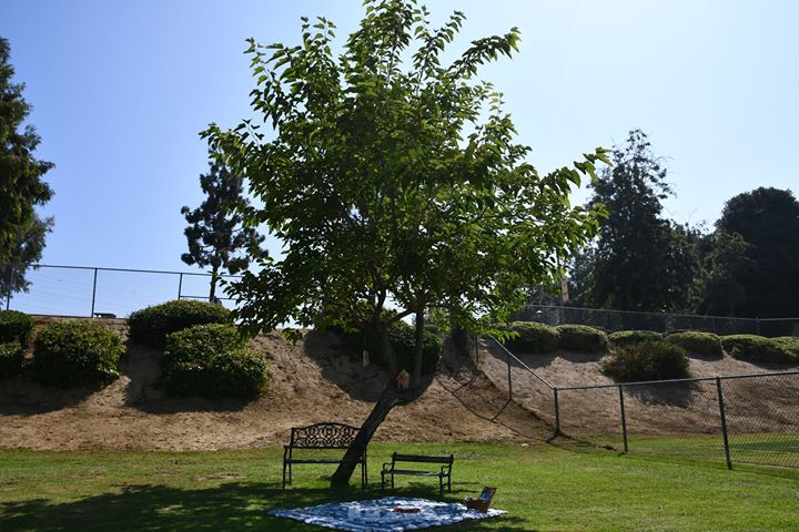 A peaceful outdoor area for children at the CDC