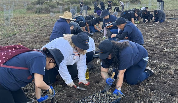 college core students working in dirt